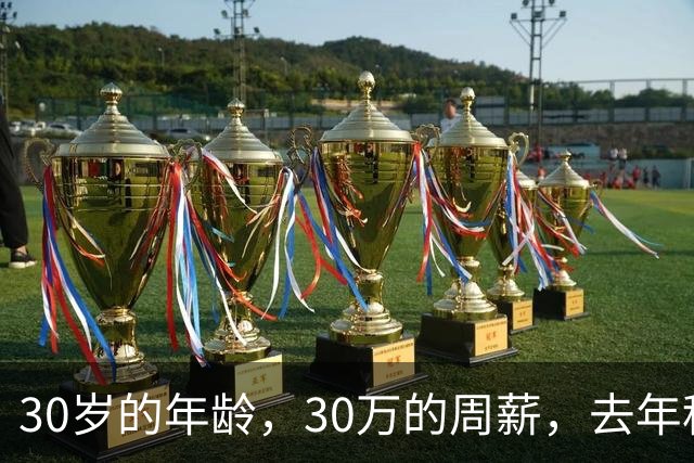 30岁的年龄，30万的周薪，去年租出去，今年走定了？